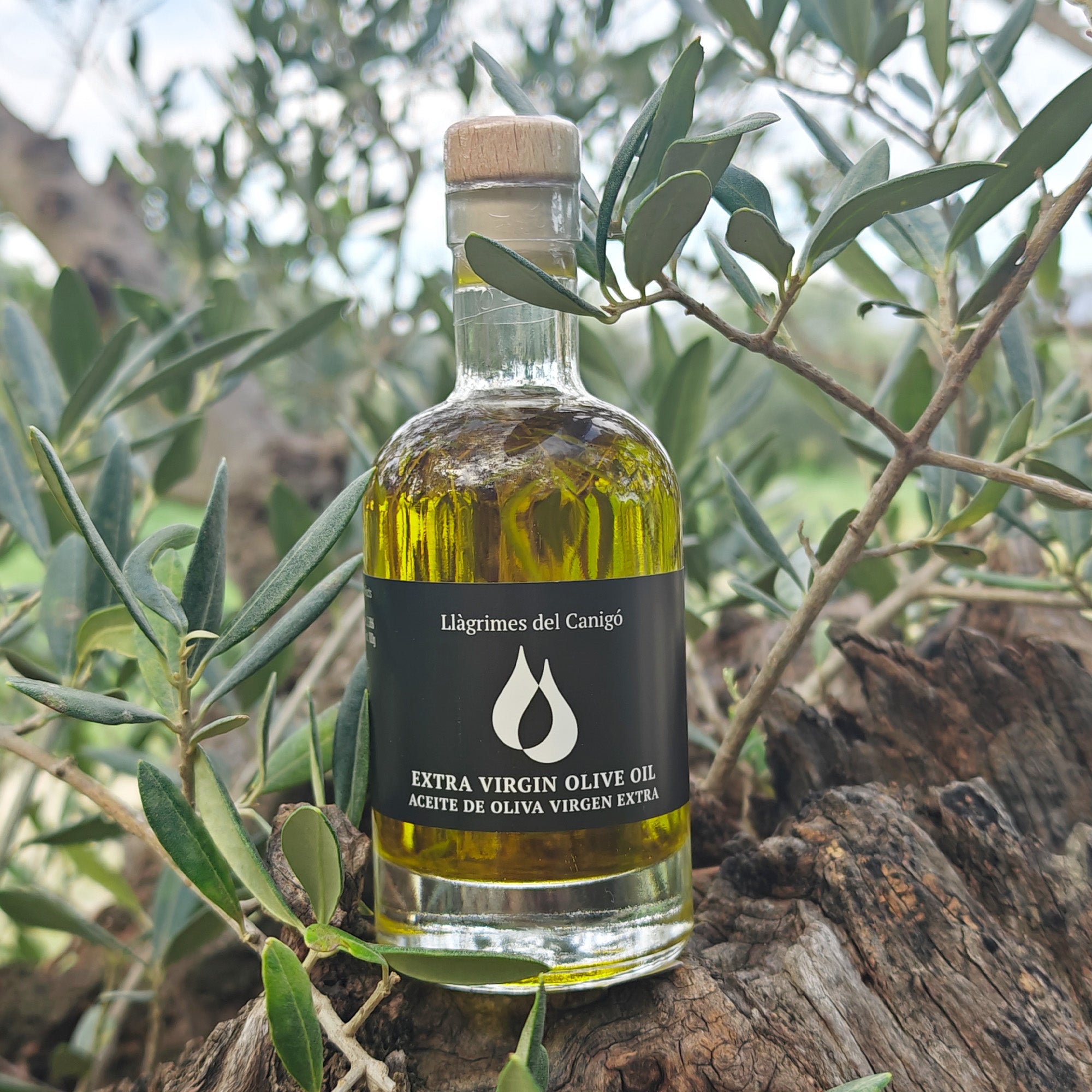 Premium Extra Virgin Olive Oil – 100ml / 3.38 fl oz – Llàgrimes del Canigó-1
