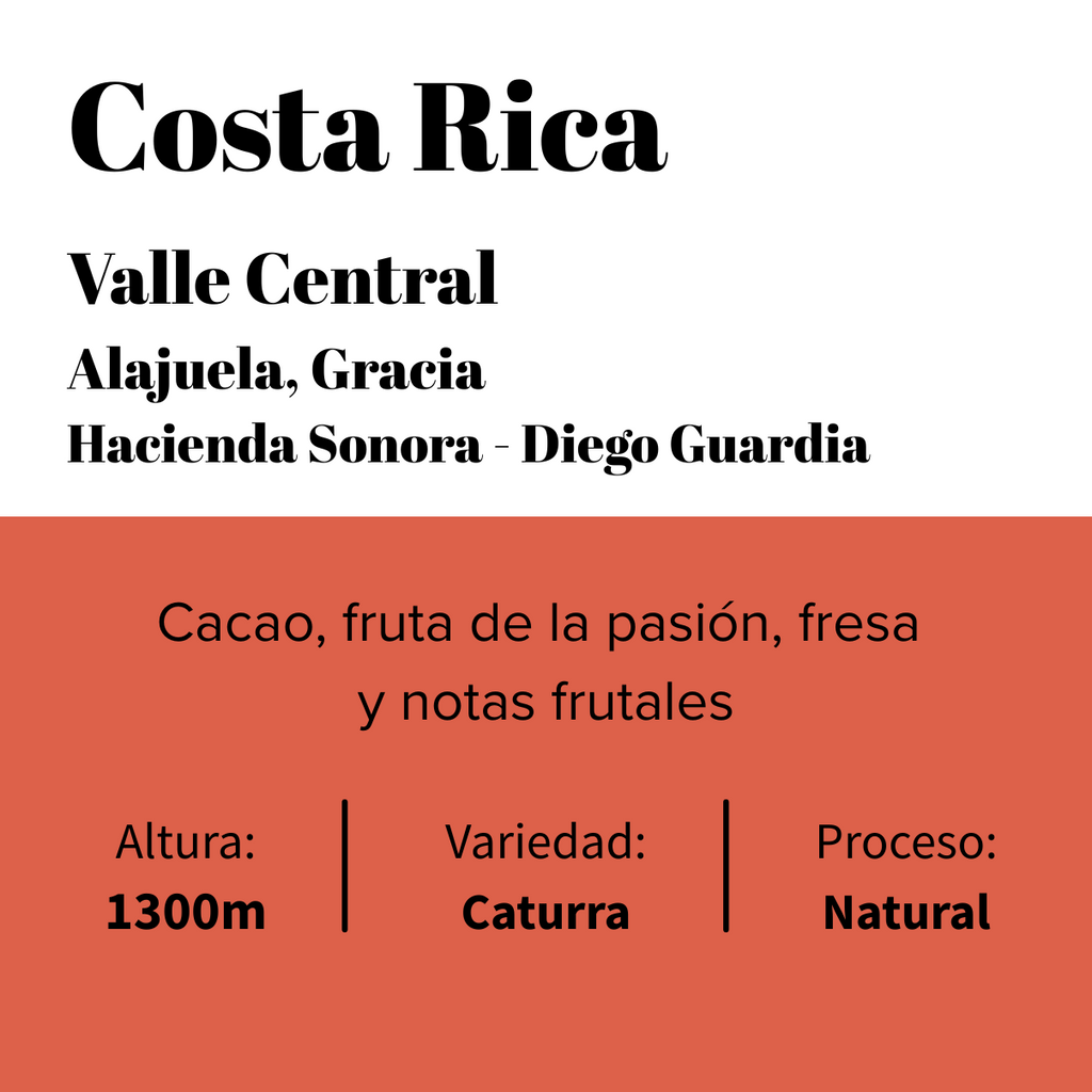 Costa Rica - Valle Central - Hacienda Sonora – Caturra Natural-0