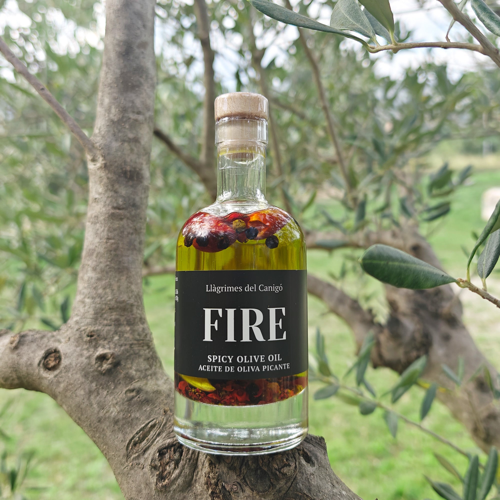 FIRE – Spicy Chili, Garlic & Pepper Infused Extra Virgin Olive Oil – 100ml / 3.38 fl oz – Llàgrimes del Canigó-1