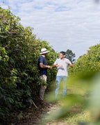 Café especial de la casa - Alta Mogiana - Fazenda Santa Jucy