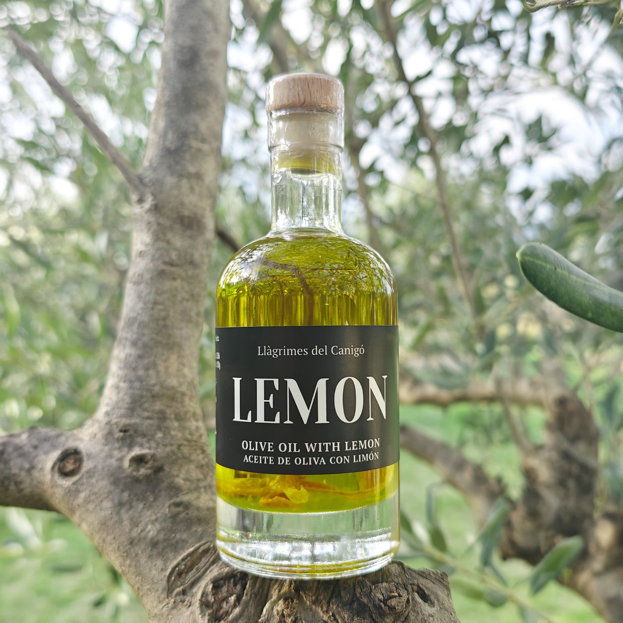 Lemon Infused Extra Virgin Olive Oil – 100ml / 3.38 fl oz – Llàgrimes del Canigó-1
