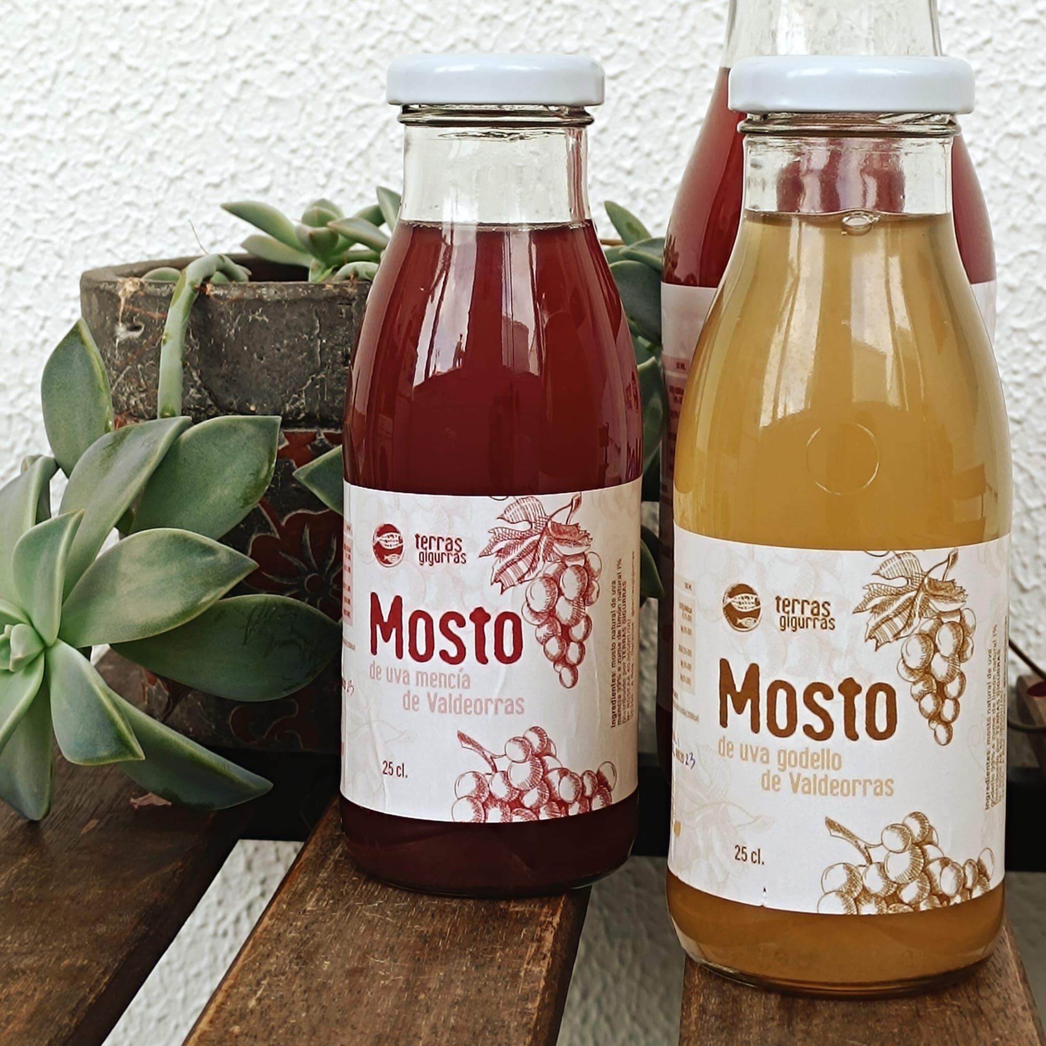 MOSTO TINTO DE UVA MENCIA  DE VALDEORRAS. 250ML-2